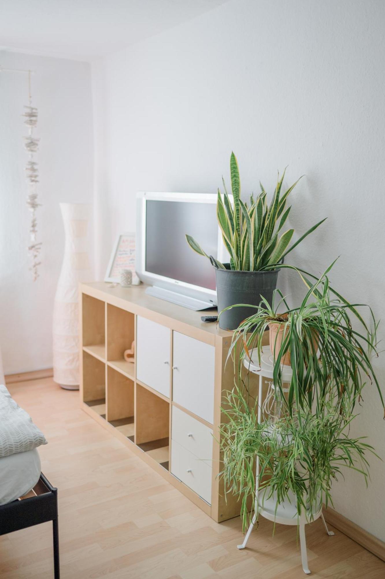 Buchlindenweg - Zimmer & Ferienwohnung Breitscheid  Eksteriør bilde